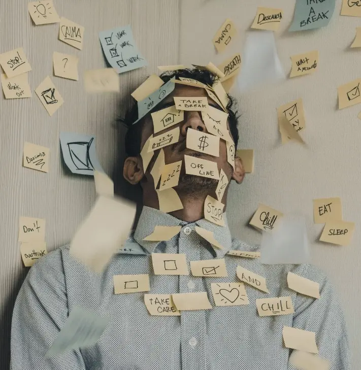 Willows Daily Wellness Brief | Finding Calm