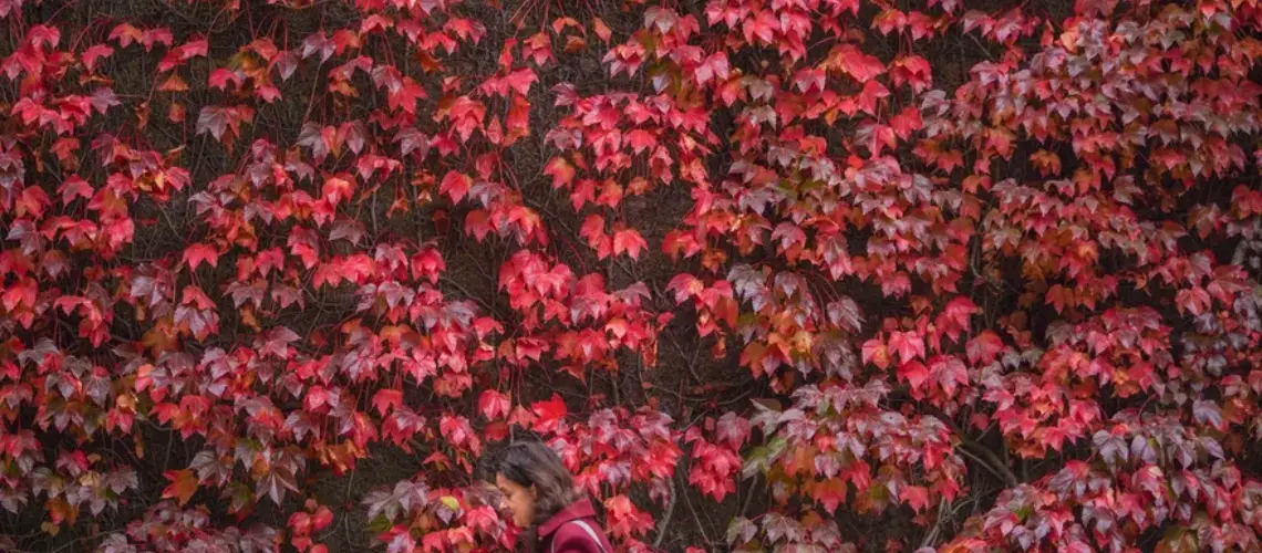 Sage’s Daily Team Brief | The Effects of Winter Sage’s Daily Team Brief | The Effects of Winter