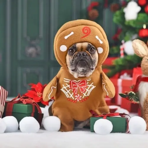 Retail team sharing a laugh at checkout