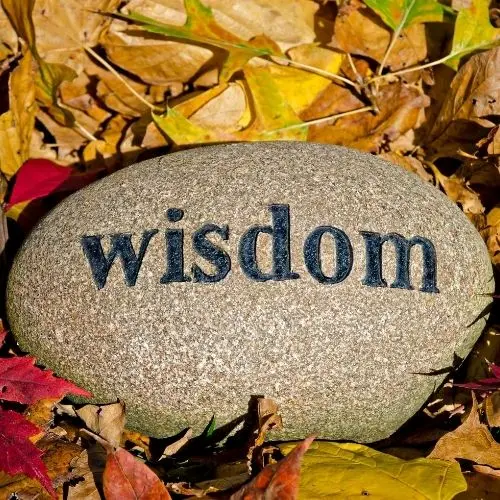 Calm retail store ambience