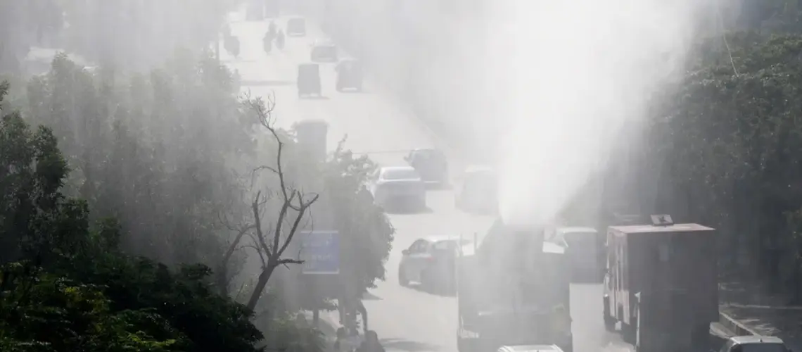 Sage’s Daily Team Brief | Rain Forrest Disaster