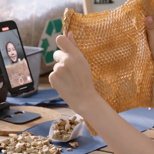 TikTok Social Trends