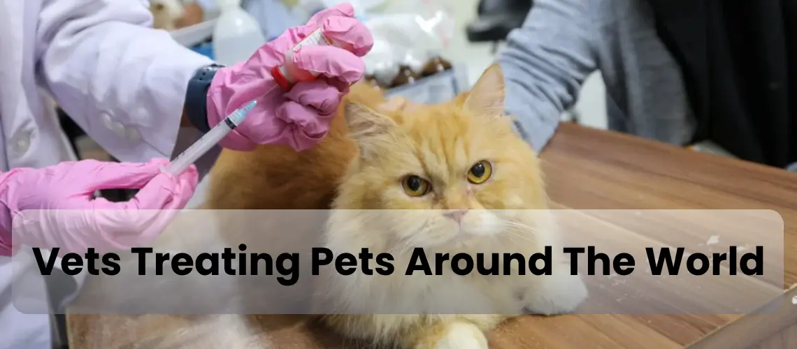 Team Sage Daily Brief | October 19, 2025