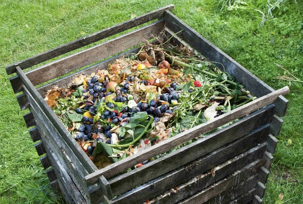 Larry’s Home & Backyard Ideas | Composting