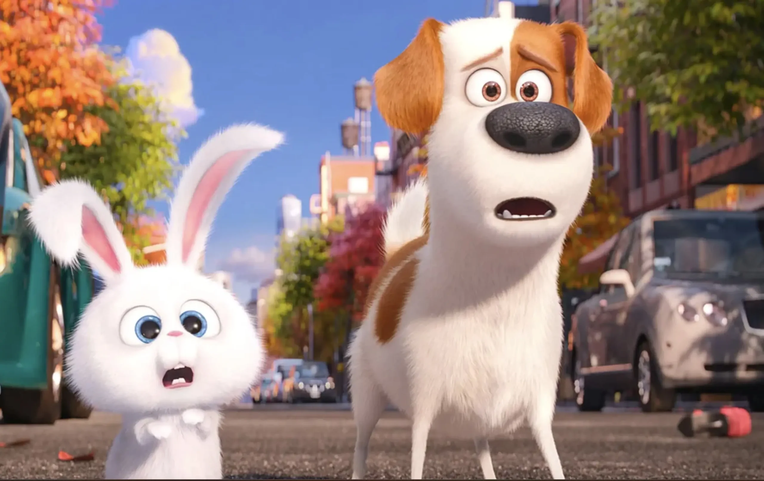 Gracie’s Daily Pet Stories | Pets & Exersize