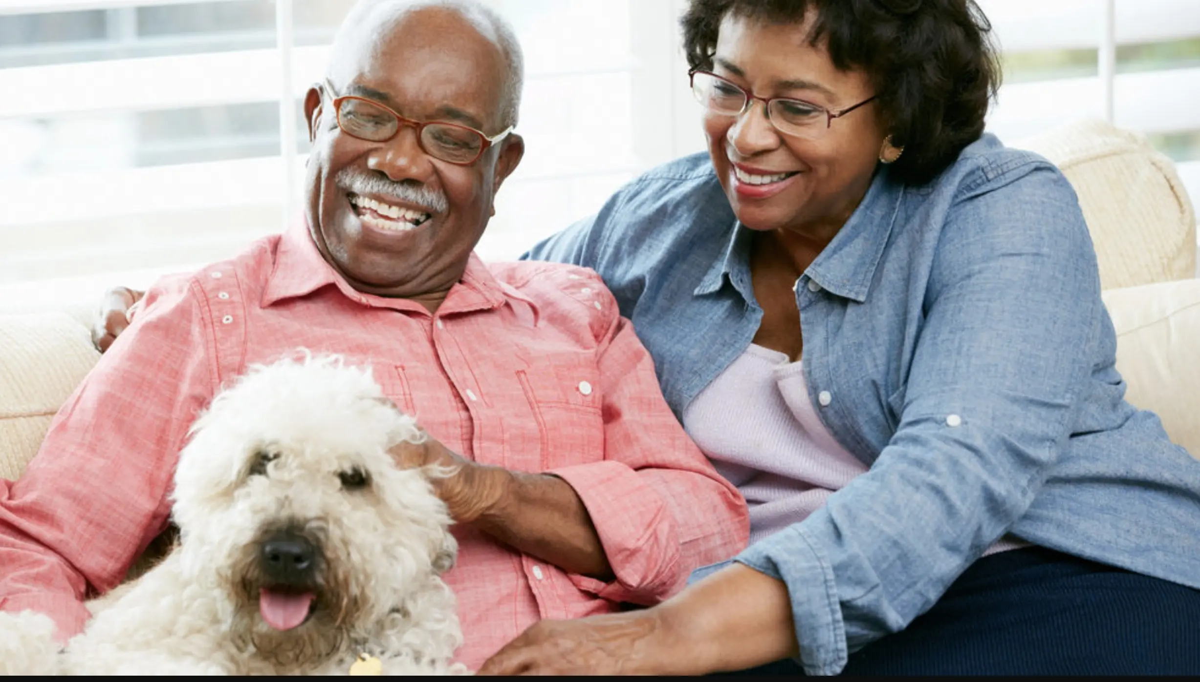 Gracie’s Daily Pet Brief | Senior Pet Ownership