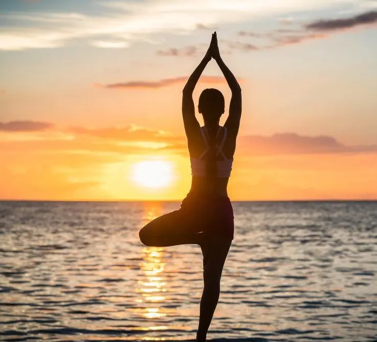 Willows Daily Wellness Brief | Wake UP and Breathe