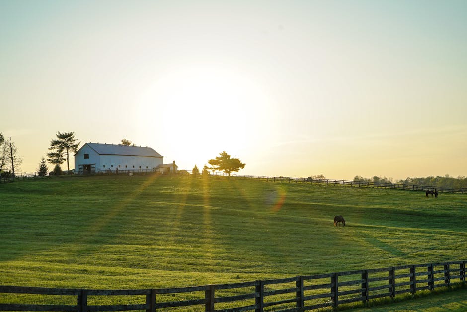 Kentucky Bluegrass: Exploring the Horse Country of Lexington