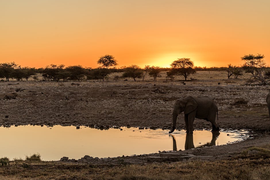 Awakening under the Serengeti Skies