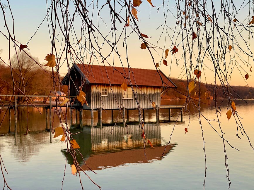 Harnessing Joy: Your Daily Wellness Refresh