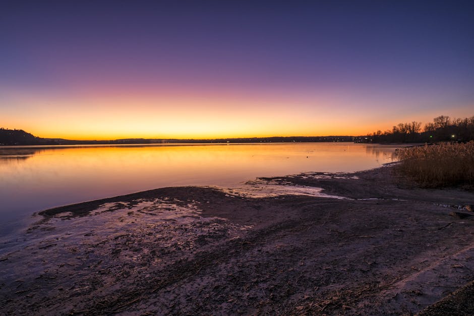 Embracing Calm: Your Daily Guide to Stress Regulation